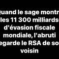 evasion fiscale RSA abruti